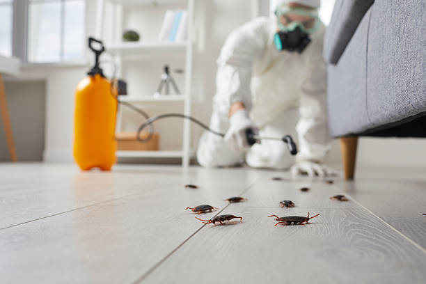 Commercial Kitchen Cockroach Control in Prairie View